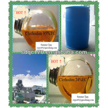 Herbicida clethodim 95% TC 24% EC 12% EC